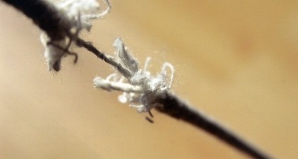 Η ευθύνη είναι αποκλειστικά δικιά τους. Ας την αναλάβουν.