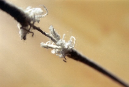 Η ευθύνη είναι αποκλειστικά δικιά τους. Ας την αναλάβουν.