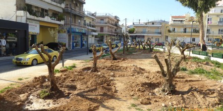 Μεταφύτευση ελαιόδεντρων από την ΕΡΓΟΣΕ στο Δήμο Περιστερίου