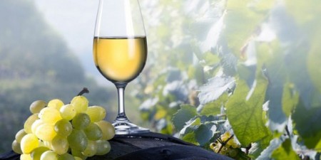 Τα κρασιά του Αιγαίου στο Σύνταγμα