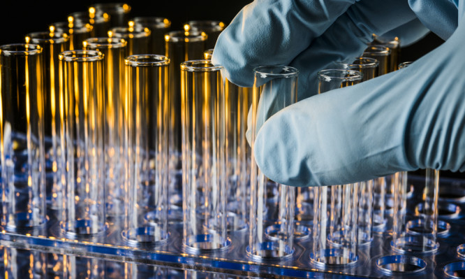 Παράθυρο ανάπτυξης από τις κλινικές μελέτες