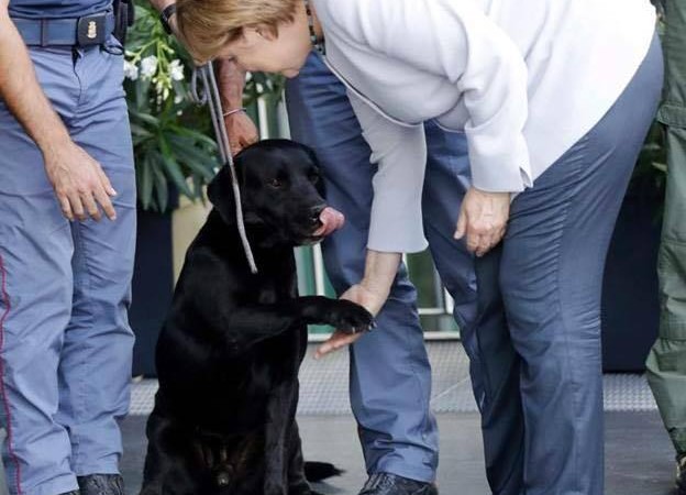 Τα σκυλιά στη ζωή της Μέρκελ