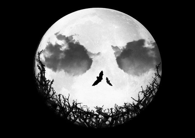 Namaste*. Τόσο κοντά με την Σελήνη, τόσο μακριά μεταξύ μας …