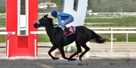 Νέο τζακ ποτ στις ελληνικές ιπποδρομίες