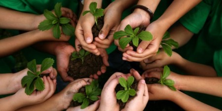 Κομισιόν για την προστασία του περιβάλλοντος: «Λήψη μέτρων στην περίπτωση που κράτη-μέλη ή η ΕΕ δεν συμμορφωθούν στις διεθνείς ή ευρωπαϊκές υποχρεώσεις τους