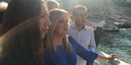 Φώφη Γεννηματά: «Οι ευθύνες της κυβέρνησης γι’ αυτή την οικολογική καταστροφή είναι τεράστιες»