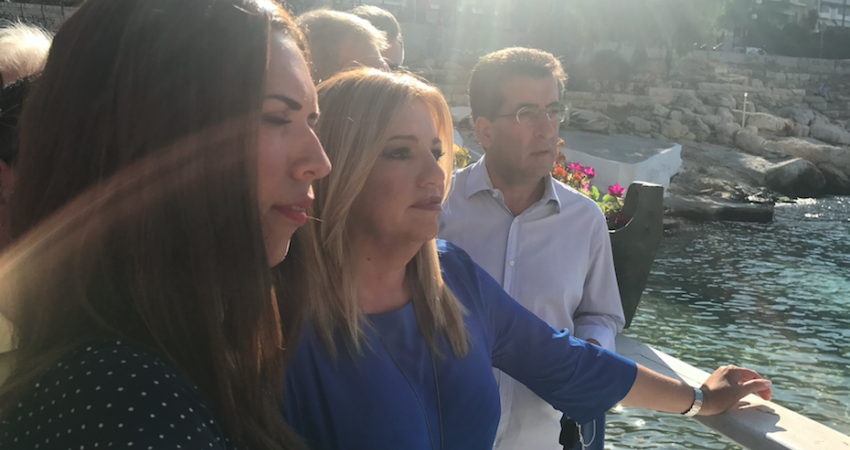 Φώφη Γεννηματά: «Οι ευθύνες της κυβέρνησης γι’ αυτή την οικολογική καταστροφή είναι τεράστιες»