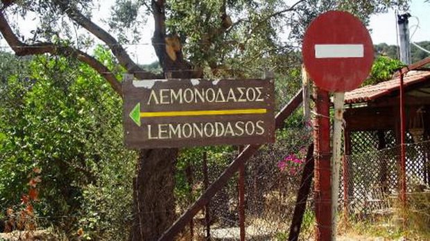 Εργασίες συντήρησης και αναβάθμισης δεξαμενών άρδευσης του ΤΟΕΒ Λεμονοδάσους Πόρου