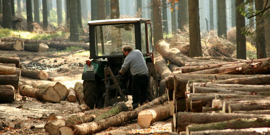 Η προστασία του κλίματος και η δασοκομία: νέα ευρωπαϊκή νομοθεσία