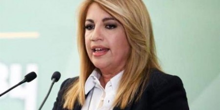 Φώφη Γεννηματά: «Πρόγραμμα Ελλάδα». Η απάντηση της κεντροαριστεράς για την προοπτική της χώρας