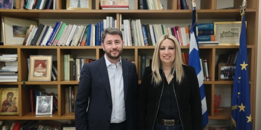 Συνάντηση Φώφης Γεννηματά με τον ευρωβουλευτή του Κινήματος Αλλαγής Νίκου Ανδρουλάκη