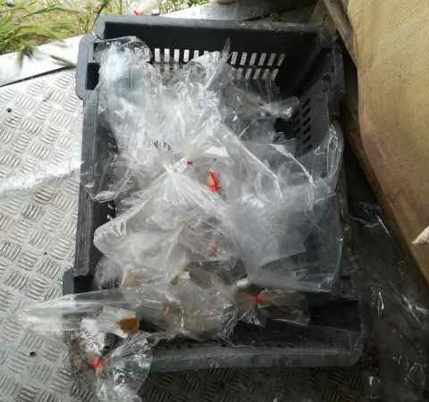 Ενημερώση ελέγχων Σ.Δ.Ο.Ε.