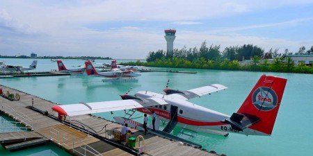 Θα γινει η Ελλαδα, Μαλβιδες της Μεσογειου.