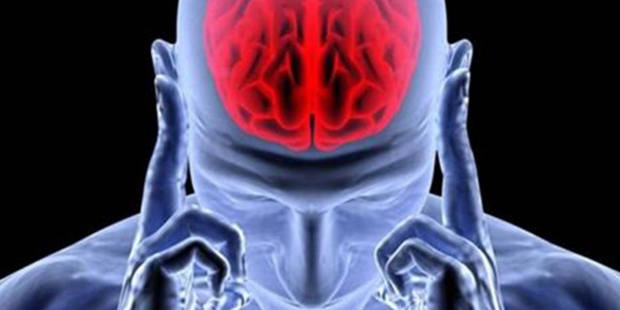 Έλληνες επιστήμονες στις ΗΠΑ θεράπευσαν σε πειραματόζωα σύμπτωμα της σχιζοφρένειας