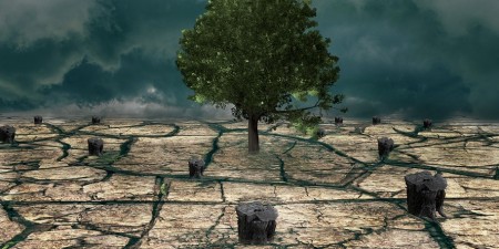 Οι Ευρωβουλευτές πρόσθεσαν πάνω από 2 δισ. ευρώ για την προστασία του κλίματος