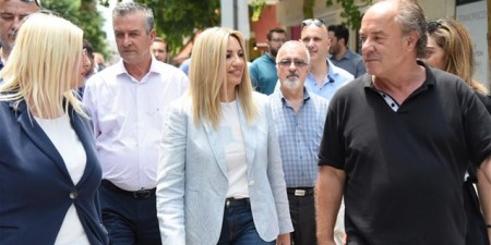 Φώφη Γεννηματά: «Η κυβέρνηση της Νέας Δημοκρατίας συνεχίζει στον δρόμο του ΣΥΡΙΖΑ στον αγροτικό τομέα»