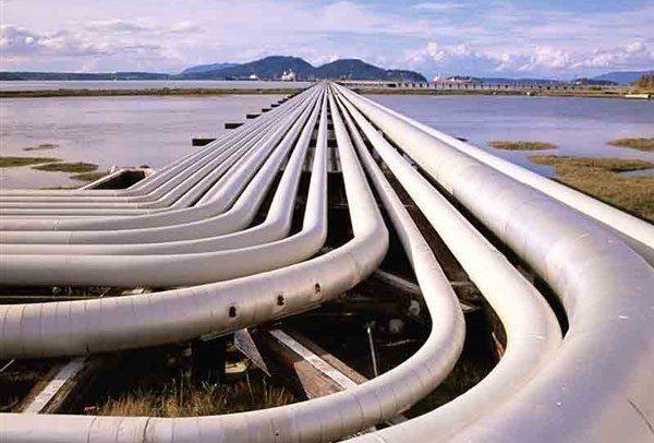 Πρόγραμμα LATS: Ένας χρόνος δωρεάν διανομής λιπασμάτων και δενδρυλλίων από τον ΤΑΡ