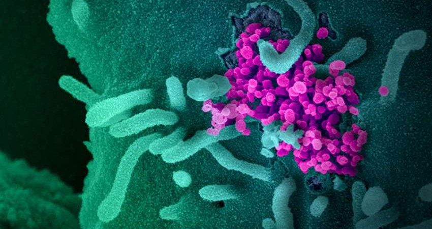 Αντικαρκινικά φάρμακα στην μάχη κατά του COVID-19