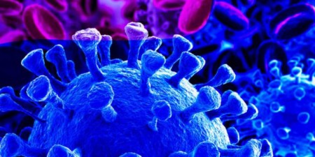 Χάραξη στρατηγικού πλάνου αντιμετώπισης του COVID-19 από τον Διευθυντή του Εθνικού Ινστιτούτου Υγείας των ΗΠΑ