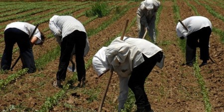Οι Έλληνες αγρότες αποκτούν πρόσβαση στο Ταμείο Εγγυοδοσίας για τον κορωνοϊό