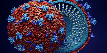 Κλινικές Μελέτες πρόκλησης με SARS-CoV-2 για δοκιμή εμβολίων