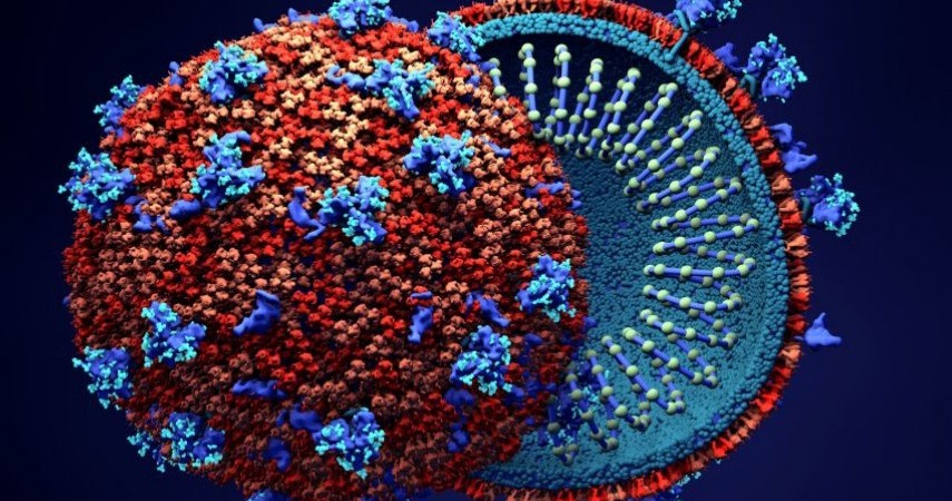 Κλινικές Μελέτες πρόκλησης με SARS-CoV-2 για δοκιμή εμβολίων