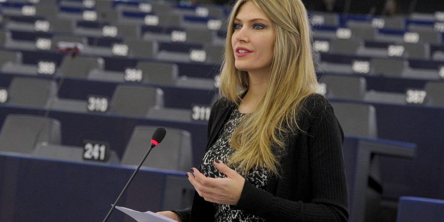 ΜΚΟ και Ευρωπαϊκός έλεγχος