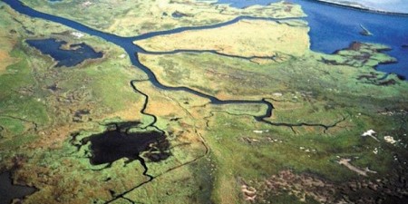 «Μένουμε Ασφαλείς, Κρατάμε τα όρια μας, Φροντίζουμε το Περιβάλλον, Αναδεικνύουμε το Δέλτα του Έβρου»