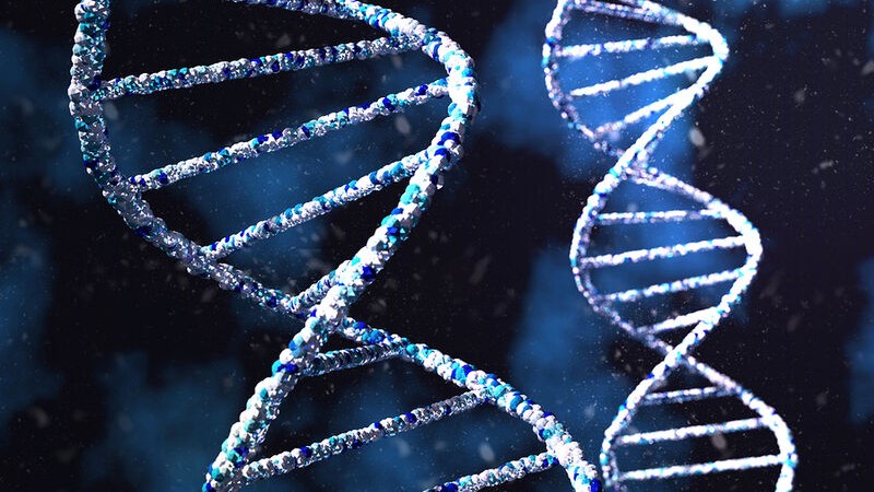 Γενετικοί παράγοντες που σχετίζονται με σοβαρή νόσο COVΙD-19