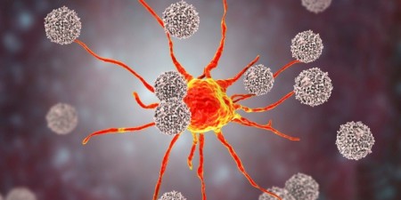 Τα Τ-λεμφοκύτταρα θυμούνται προηγούμενες λοιμώξεις με κορωνοϊούς και αναγνωρίζουν τον SARS-CoV-2