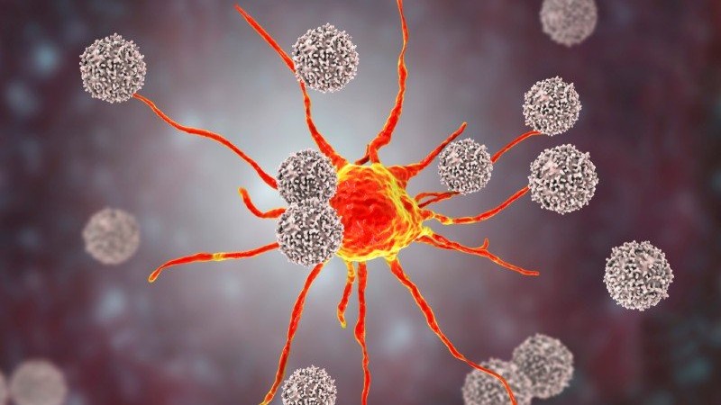 Τα Τ-λεμφοκύτταρα θυμούνται προηγούμενες λοιμώξεις με κορωνοϊούς και αναγνωρίζουν τον SARS-CoV-2