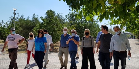 Ρ. Δούρου: “Κυβέρνηση και Περιφέρεια να πράξουν το αυτονόητο. Nα σώσουν αυτόν τον μοναδικό πνεύμονα πρασίνου”