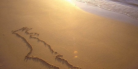 Παρατηρητήριο Τουρισμού για την Περιφέρεια Κρήτης