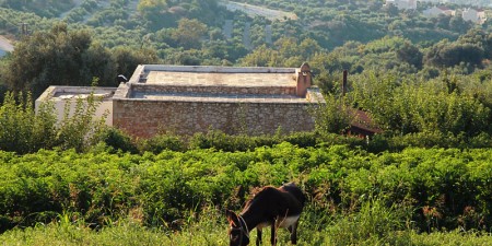 ΤΕΕ: Σοβαρές επιφυλάξεις για τις διατάξεις περί δόμησης στις εκτός σχεδίου περιοχές