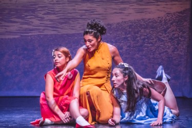 «ΤO ΚΑΠΛΑΝΙ ΤΗΣ ΒΙΤΡΙΝΑΣ» της Άλκης Ζέη