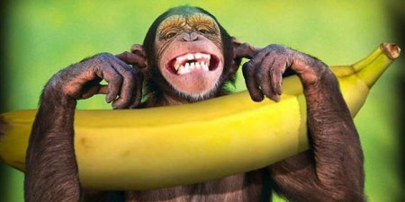 Μπλόκο στις μαϊμού προσλήψεις