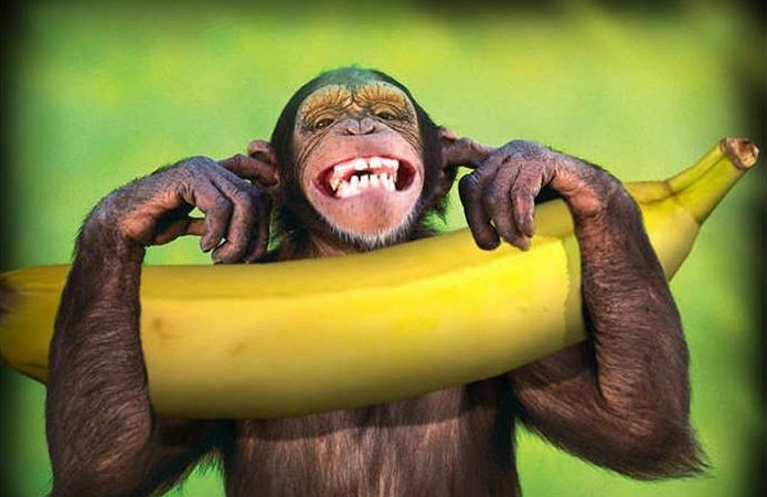 Μπλόκο στις μαϊμού προσλήψεις