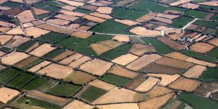 Ευρωπαϊκή πρωτοβουλία για την κατάρτιση Μακροπρόθεσμου Οράματος για τις αγροτικές περιοχές με ορίζοντα 2040