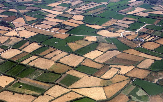 Ευρωπαϊκή πρωτοβουλία για την κατάρτιση Μακροπρόθεσμου Οράματος για τις αγροτικές περιοχές με ορίζοντα 2040
