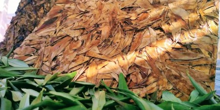 Liofyllo: Δημιουργική ανακύκλωση μέσω της καινοτομίας