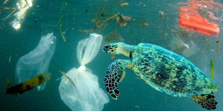 Το Ευρωπαϊκό Κοινοβούλιο ζητά δραστικά μέτρα για τη μείωση των θαλάσσιων απορριμμάτων
