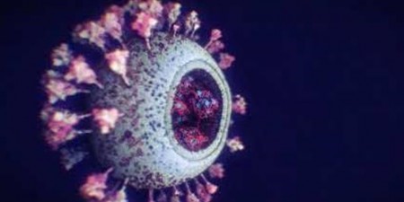 Ο νέος κορωνοϊός SARS-CoV-2 αφήνει την «ανοσολογική του υπογραφή»
