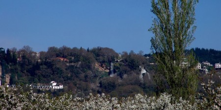 Οι ανθισμένες κερασιές της Έδεσσας