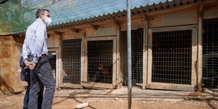 Ομοσπονδία Ζωόφιλων Σωματείων Ελλάδας: Ο Πρωθυπουργός, επισκέφτηκε μη αδειοδοτημένο καταφύγιο αδέσποτων ζώων