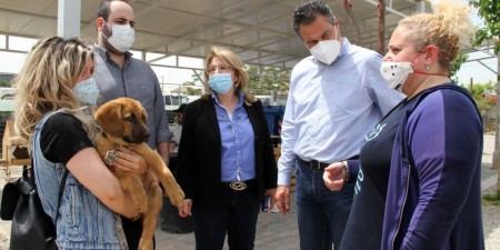 Πρωτοβουλία «Νοιαζόμαστε»: Η Νέα Δημοκρατία στον χώρο προσωρινής φιλοξενίας αδέσποτων ζώων του Δήμου Αθηναίων