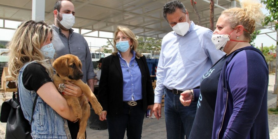 Πρωτοβουλία «Νοιαζόμαστε»: Η Νέα Δημοκρατία στον χώρο προσωρινής φιλοξενίας αδέσποτων ζώων του Δήμου Αθηναίων