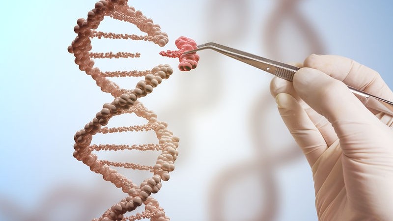 Οι μεταλλάξεις του SARs-CoV-2 και η επίδρασή τους στην ανοσιακή διαφυγή