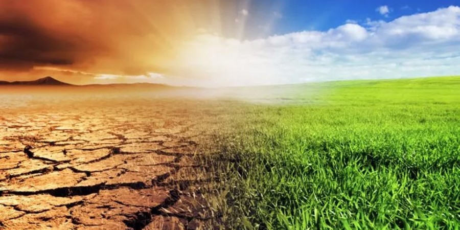 Παγκόσμια Ημέρα Περιβάλλοντος 2021: Η ΔΕΗ κινητήριος μοχλός της πράσινης μετάβασης