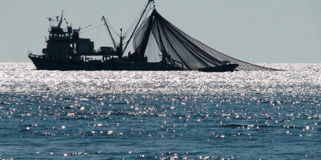 6,1 δισ. για τη βιώσιμη αλιεία και την προστασία των κοινοτήτων
