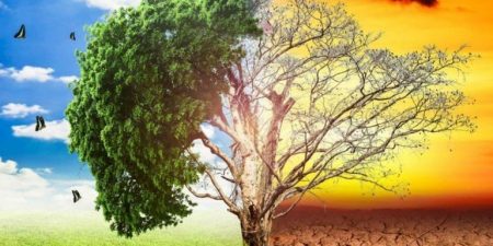 Πολιτική συμφωνία σχετικά με τον κανονισμό της σύμβασης του Aarhus: Η Επιτροπή χαιρετίζει τον δημόσιο έλεγχο των πράξεων της ΕΕ για το περιβάλλον